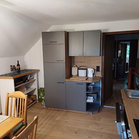 Appartement Steiner Schladming Eksteriør bilde