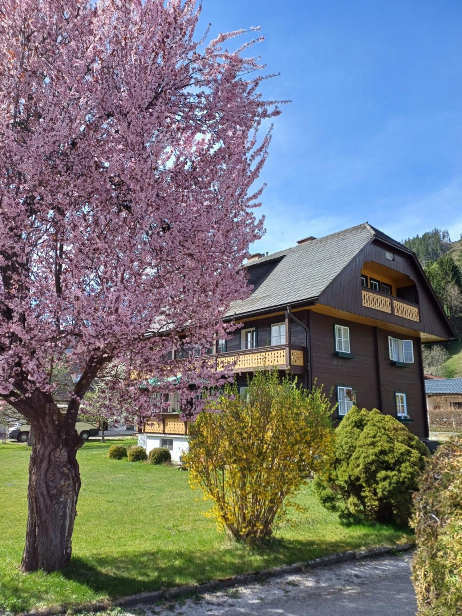 Appartement Steiner Schladming Eksteriør bilde