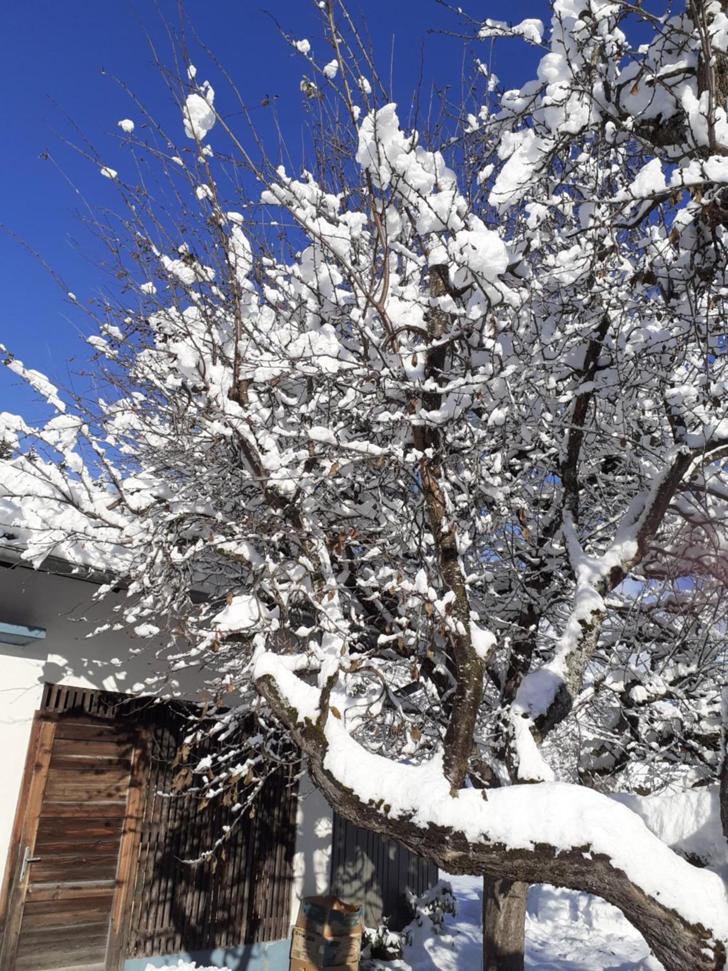 Appartement Steiner Schladming Eksteriør bilde
